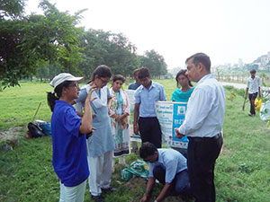 Plantation Activity