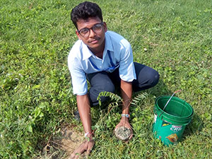 Plantation Activity